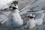 snow animals